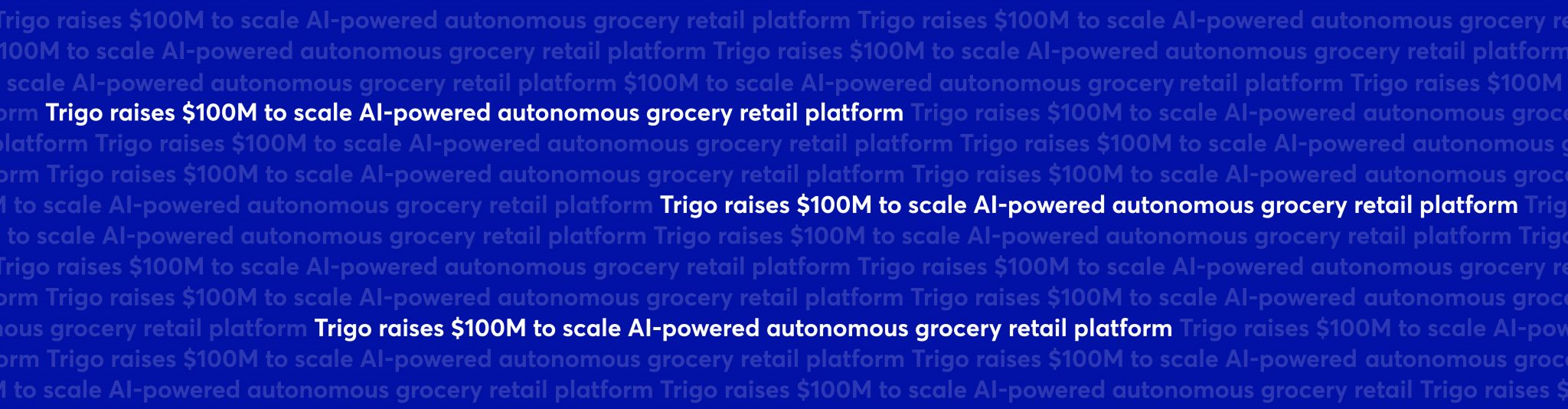 trigo retail